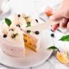 16CM Disposable Wooden Knife for Cake and Pastry Serving